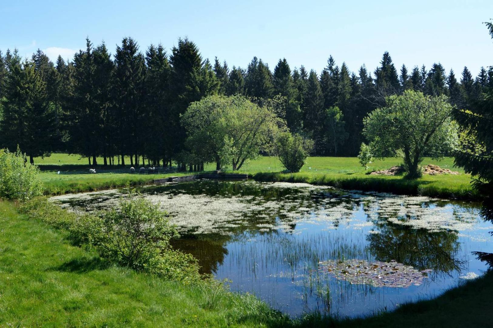 Kammbaude Neuhermsdorf Exterior photo